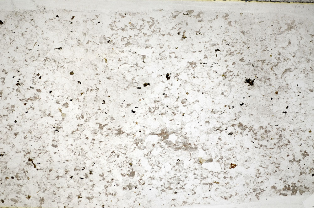 Plane Polarized, S82015