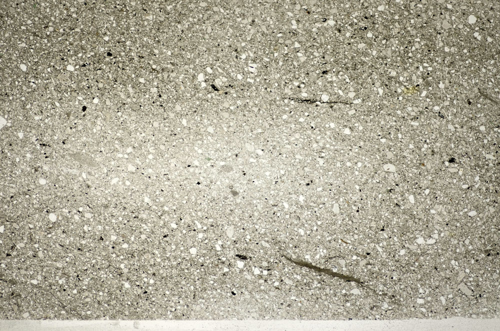 Plane Polarized, S82626