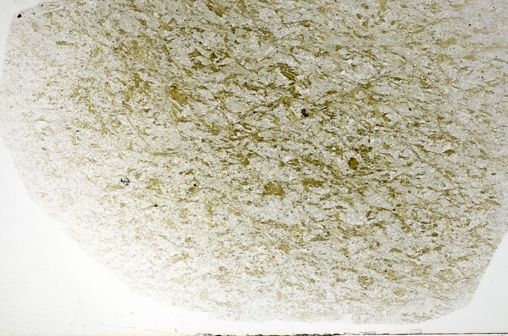 Plane Polarized, S82928