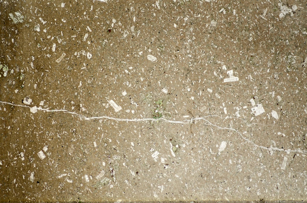 Plane Polarized, S82967