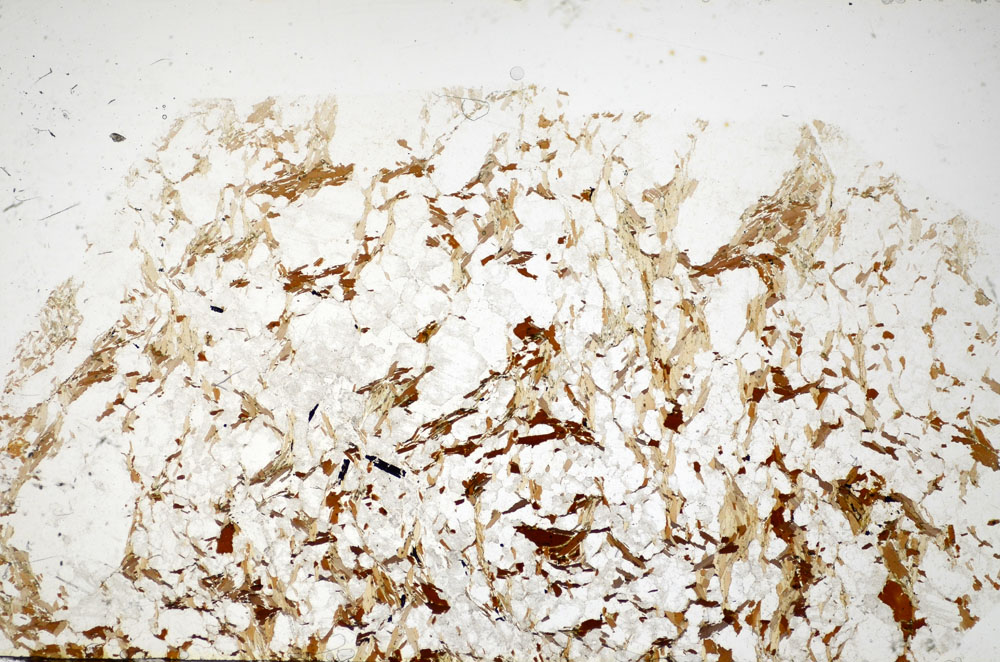 Plane Polarized, S83096