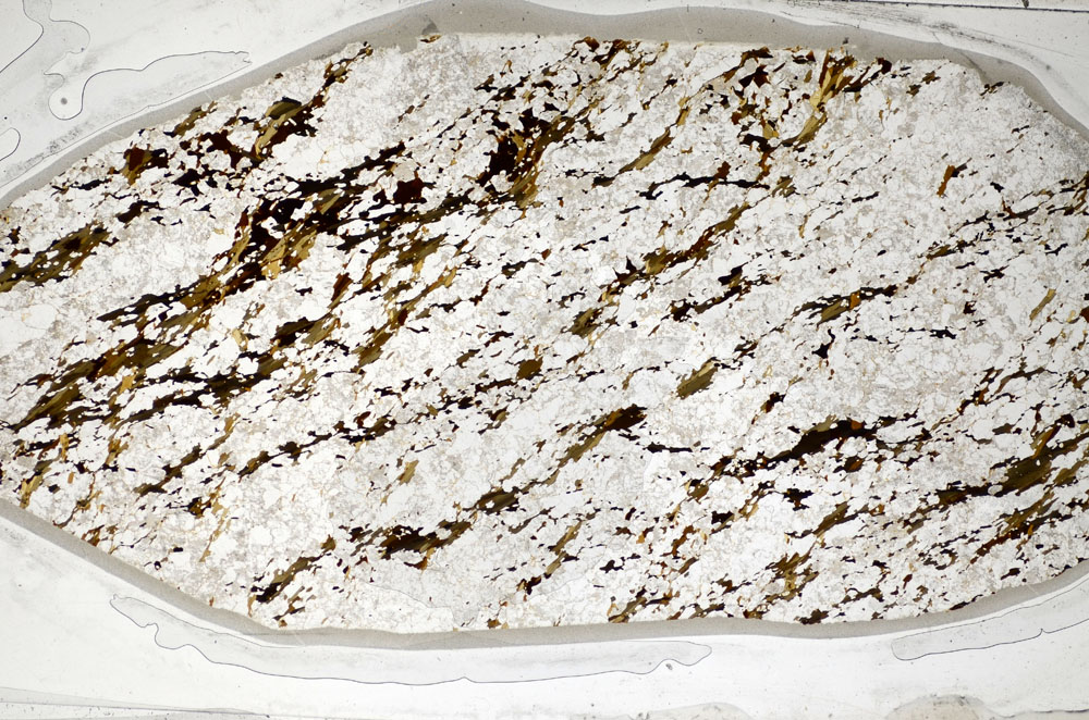 Plane Polarized, S83513