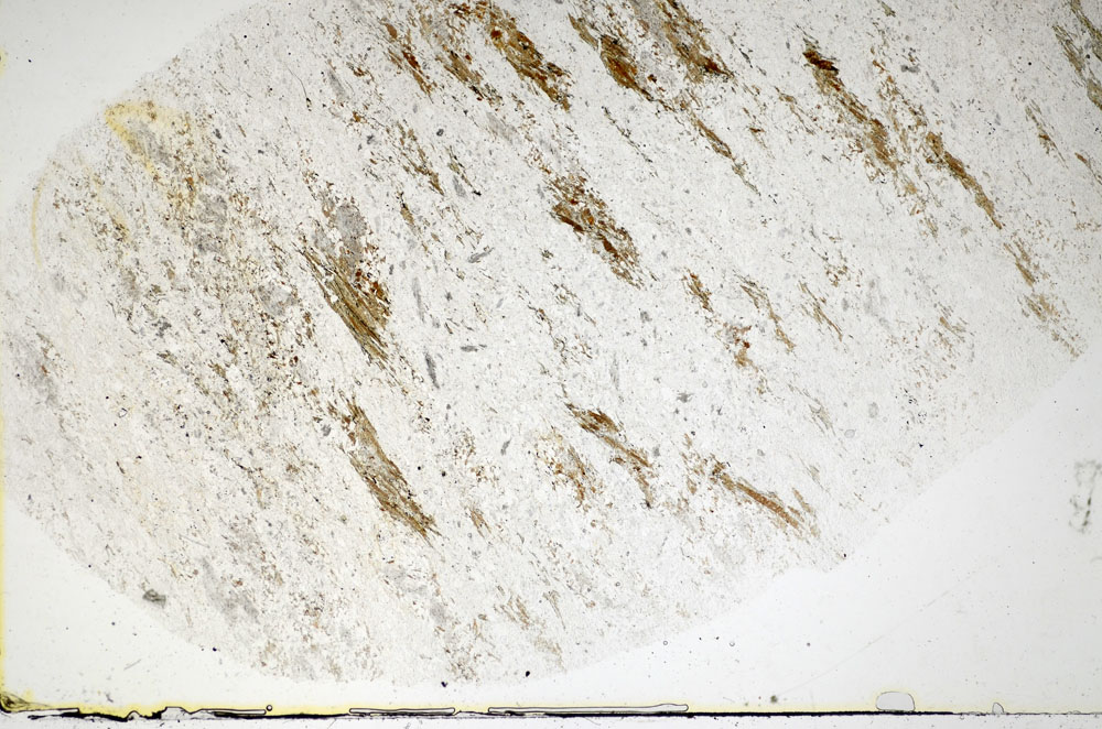 Plane Polarized, S83563