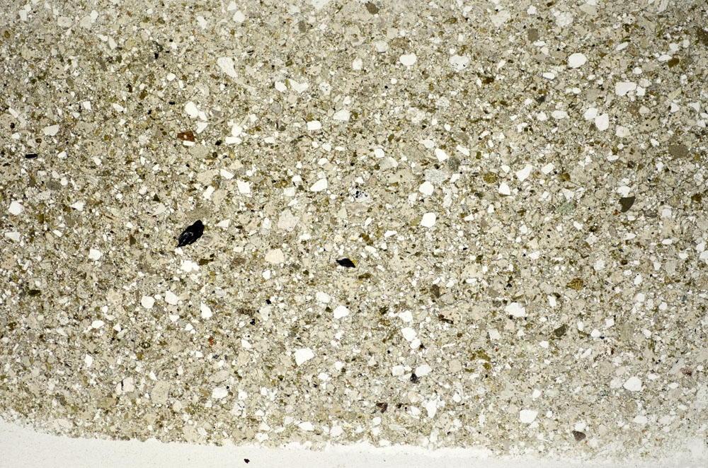 Plane Polarized, S83587