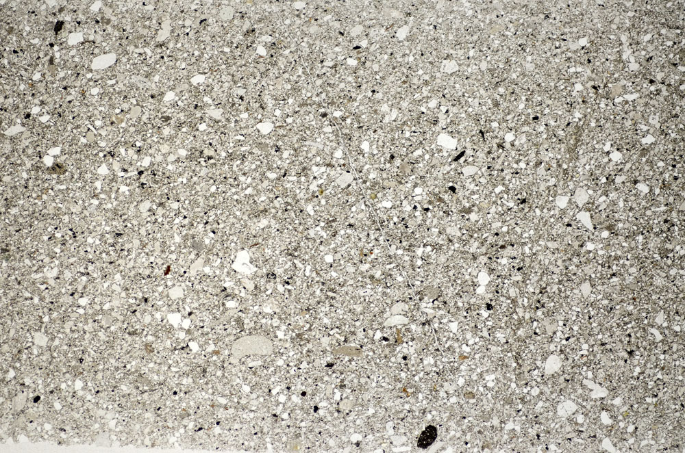 Plane Polarized, S83619