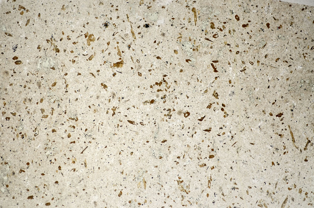 Plane Polarized, S83632