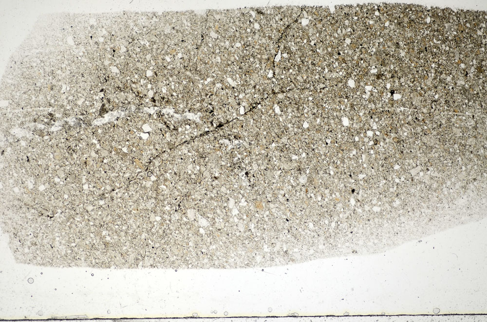 Plane Polarized, S83726