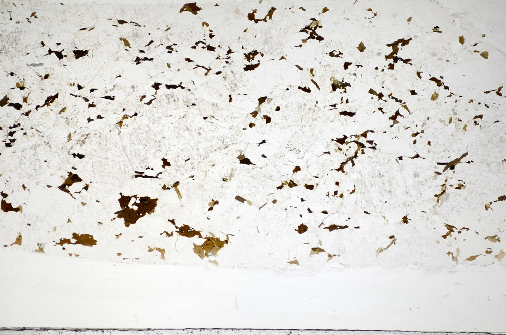 Plane Polarized, S83815