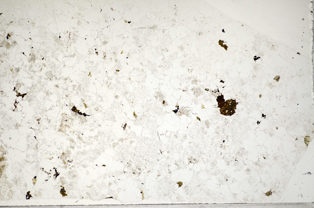 Plane Polarized, S83842