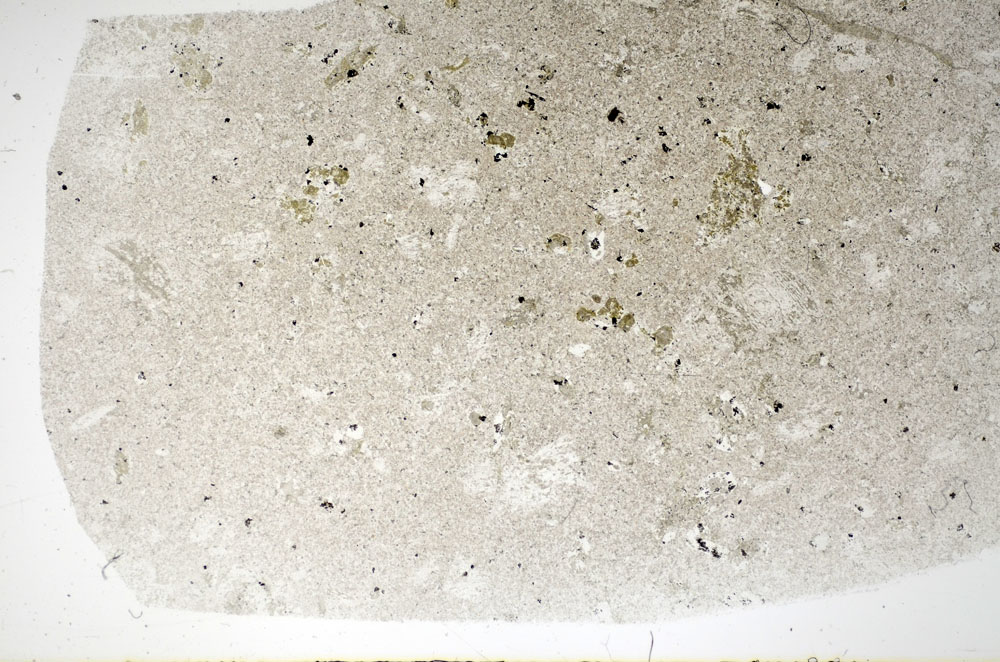 Plane Polarized, S83969