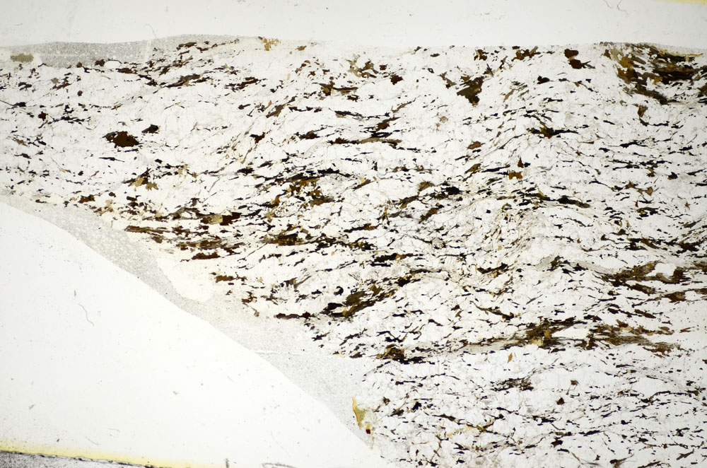 Plane Polarized, S84020