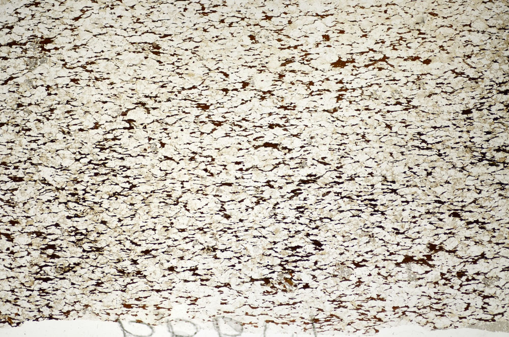Plane Polarized, S84030