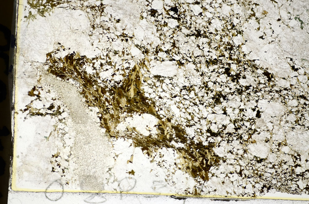 Plane Polarized, S84036