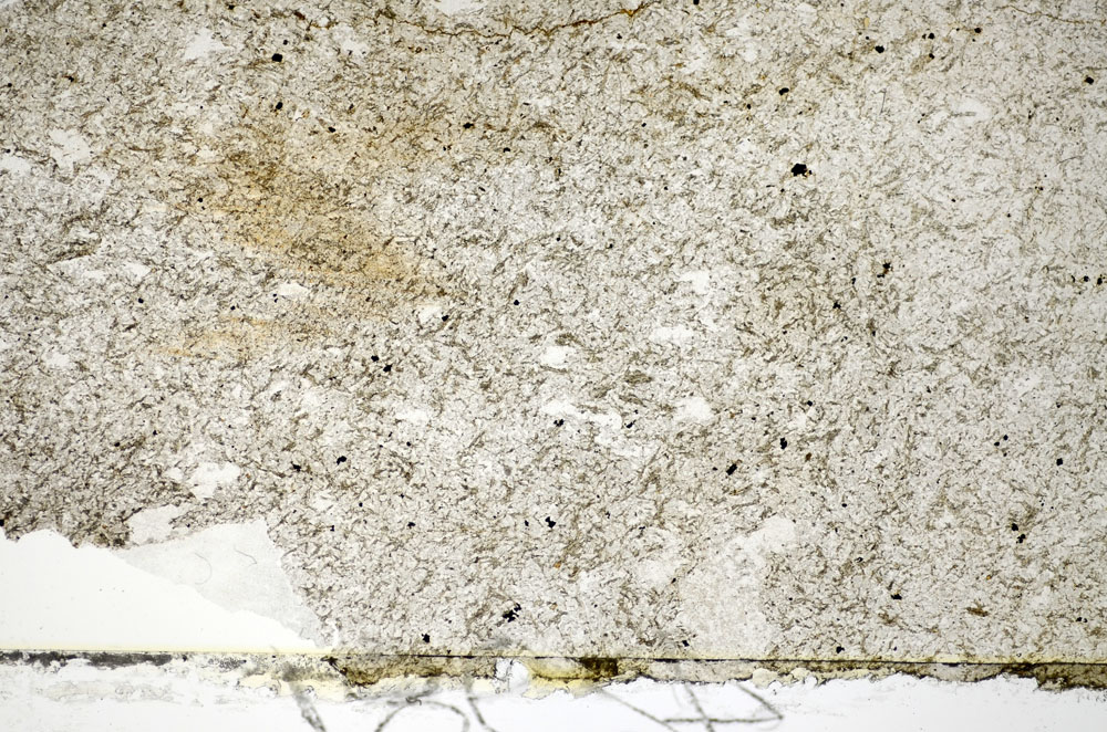 Plane Polarized, S84037