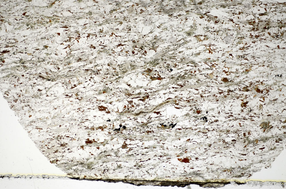 Plane Polarized, S84042