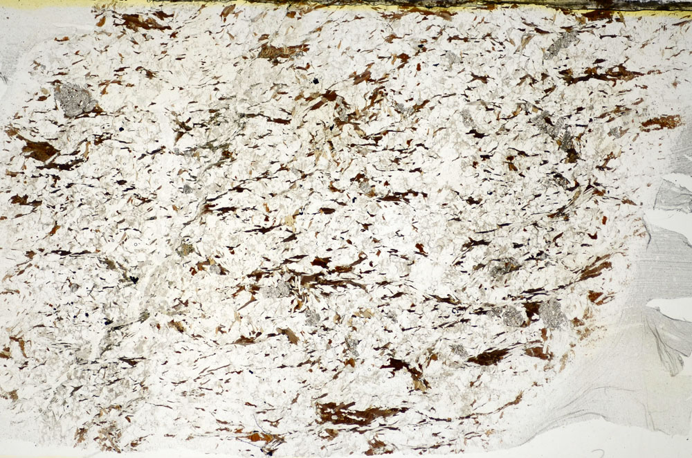 Plane Polarized, S84052