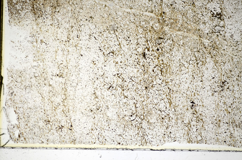 Plane Polarized, S84089