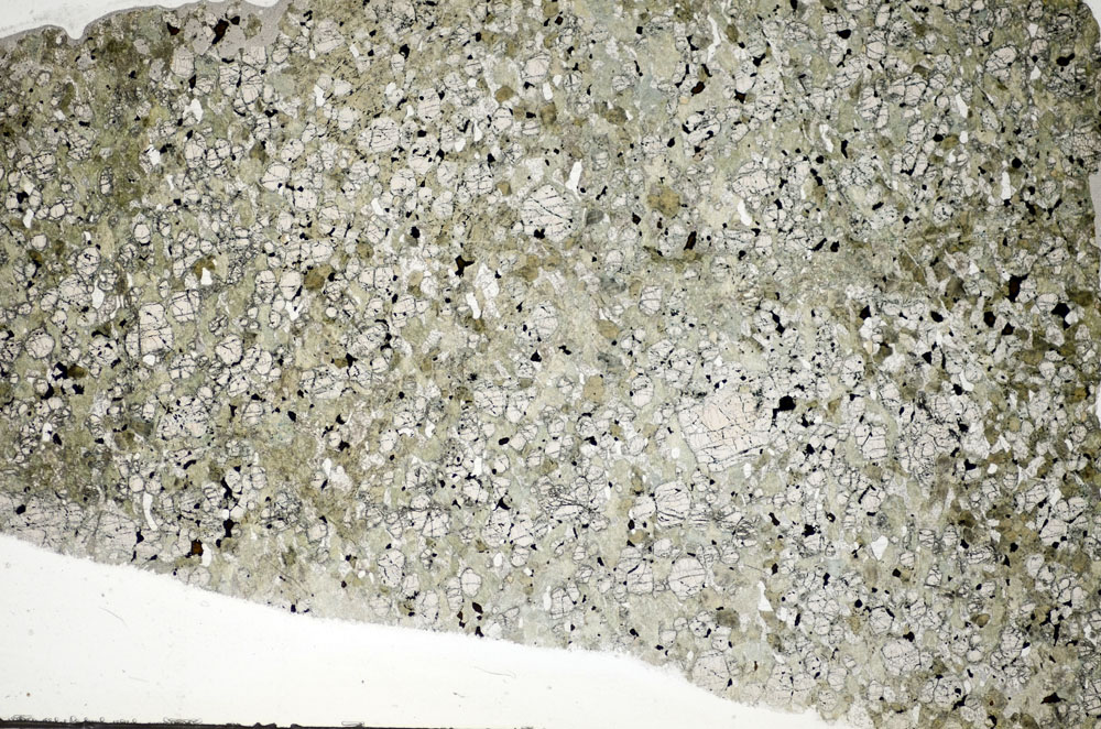 Plane Polarized, S84118