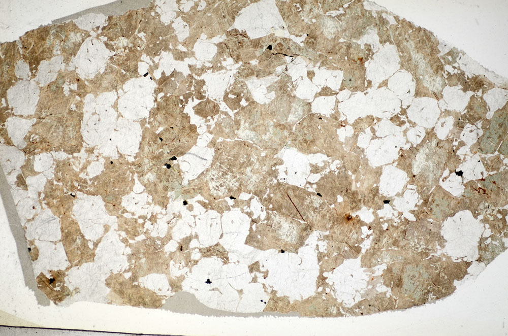 Plane Polarized, S84119