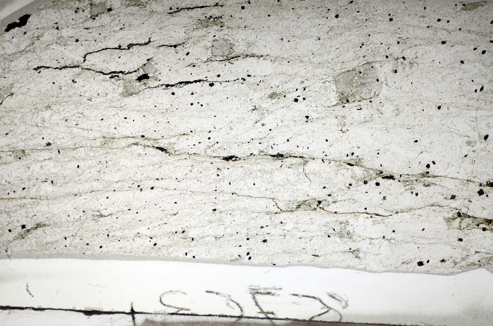 Plane Polarized, S84125