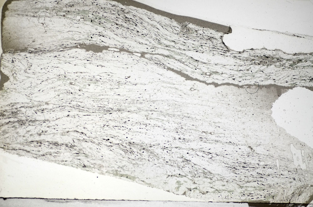 Plane Polarized, S84131