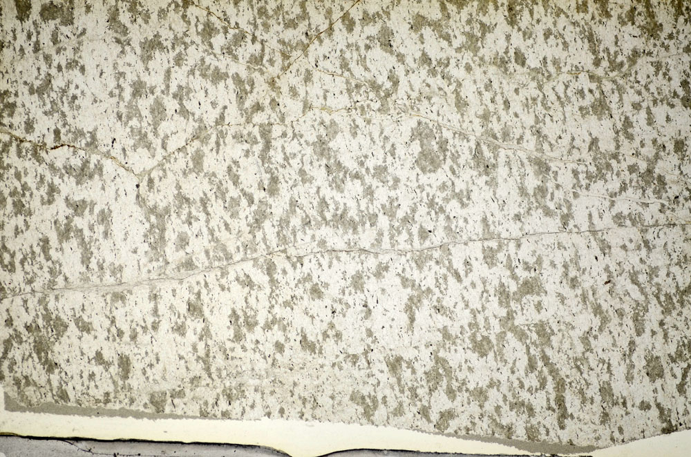 Plane Polarized, S84184