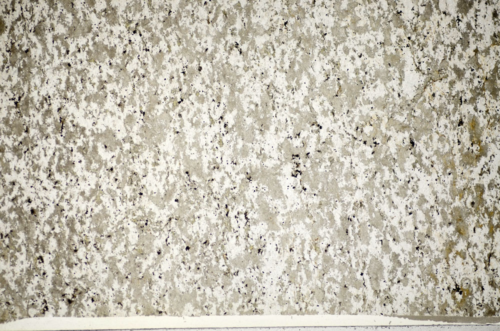 Plane Polarized, S84188