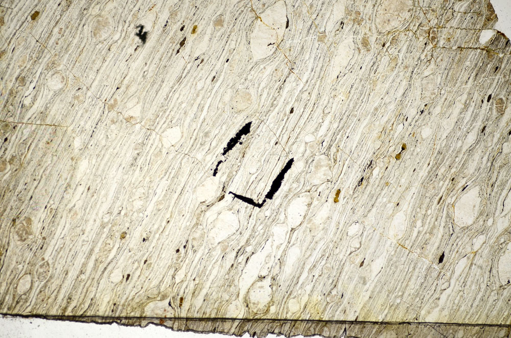 Plane Polarized, S84194