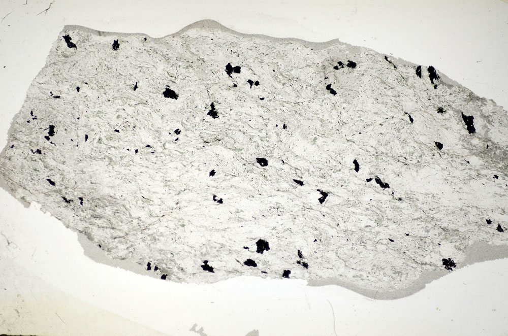 Plane Polarized, S84196