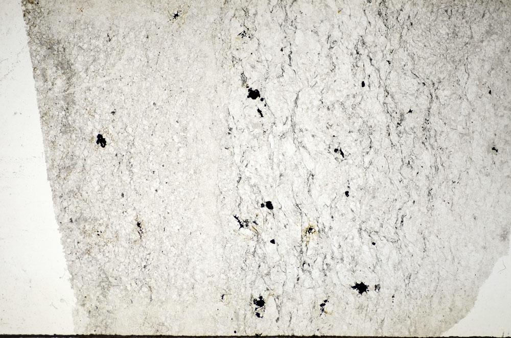 Plane Polarized, S84213