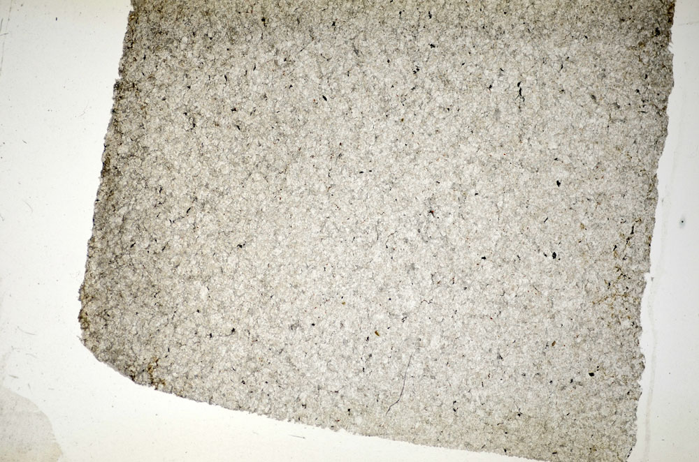 Plane Polarized, S84216