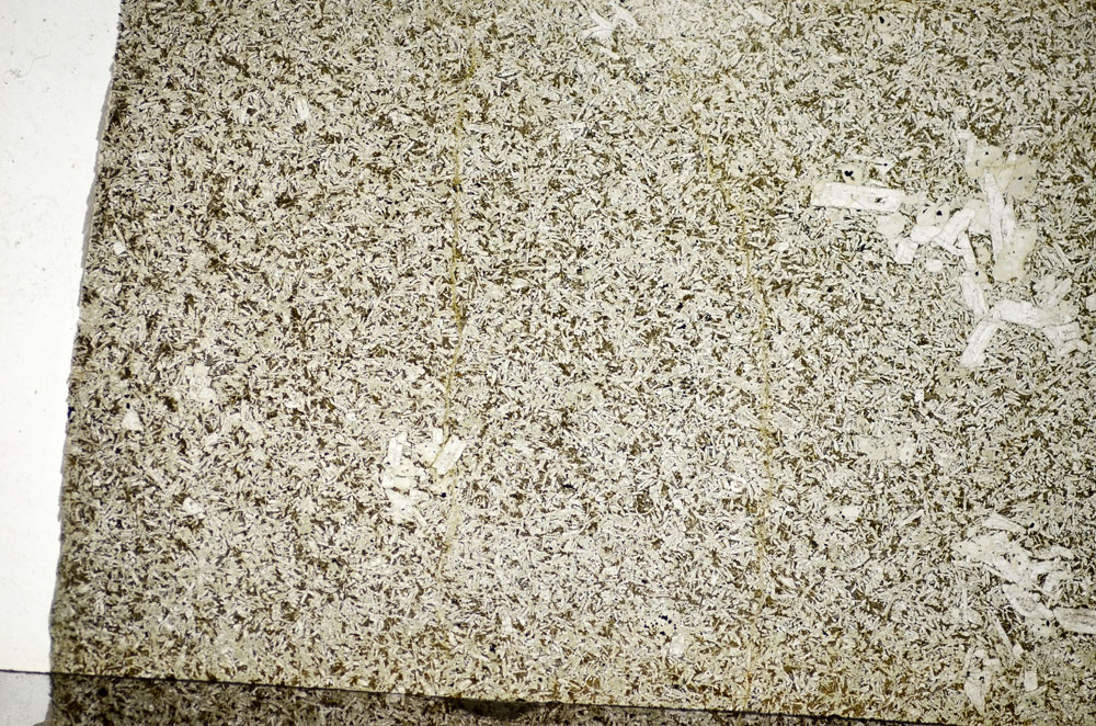 Plane Polarized, S84218