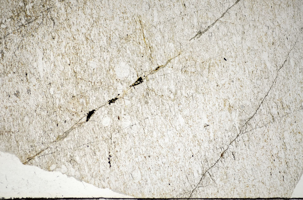 Plane Polarized, S84259
