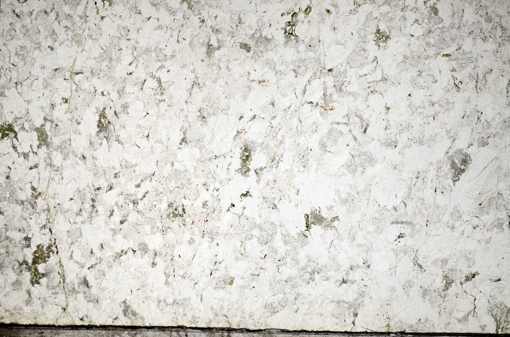 Plane Polarized, S84366