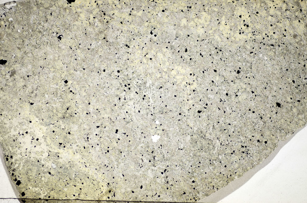 Plane Polarized, S84378