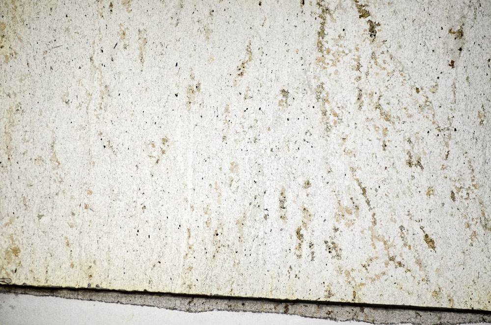 Plane Polarized, S84381