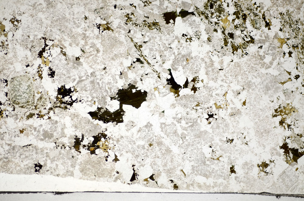 Plane Polarized, S84383