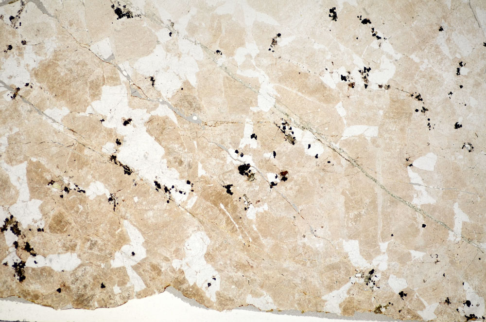 Plane Polarized, S84385