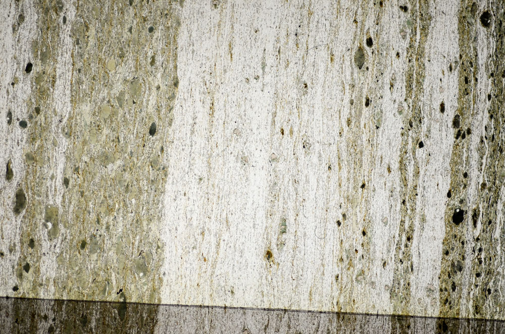 Plane Polarized, S84407