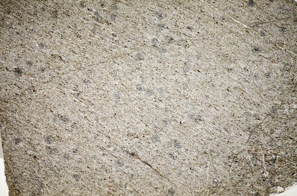Plane Polarized, S84434