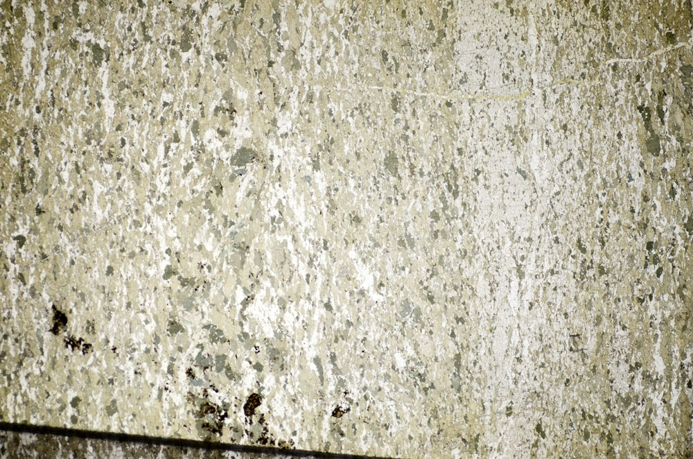 Plane Polarized, S84444