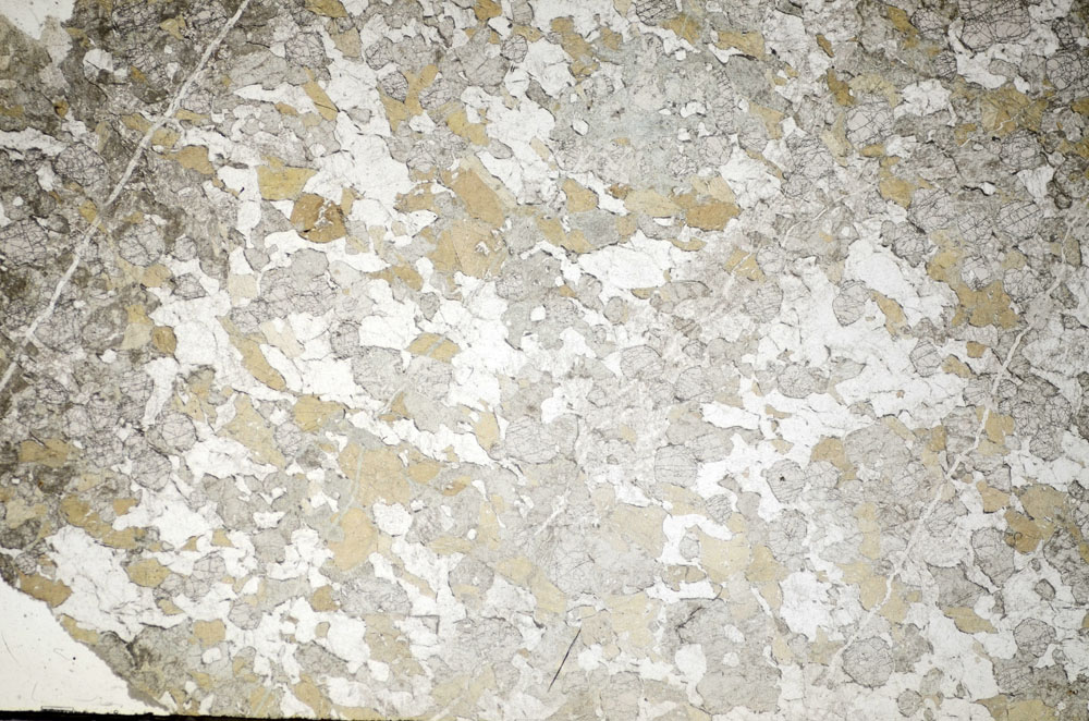 Plane Polarized, S84445