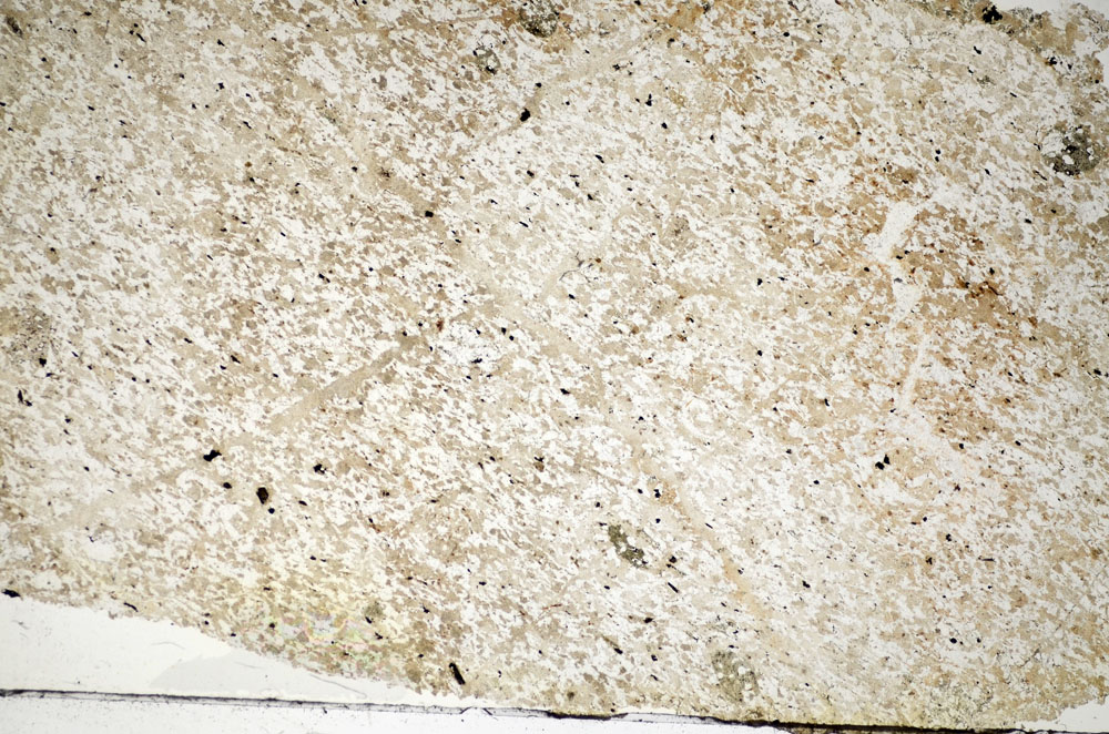 Plane Polarized, S84446