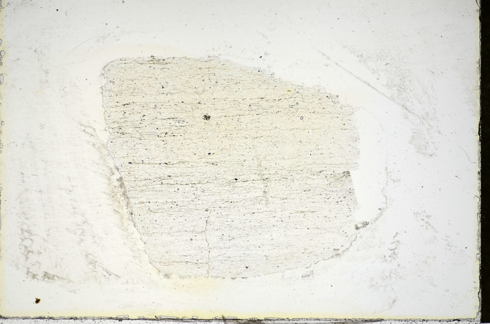 Plane Polarized, S84448