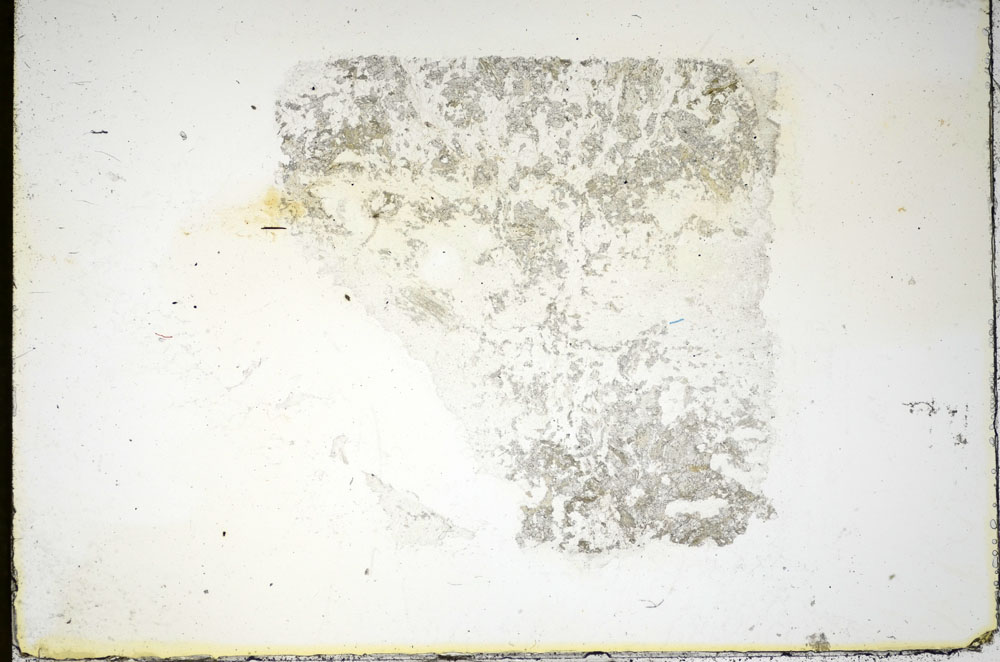 Plane Polarized, S84449