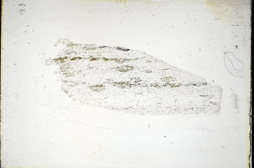 Plane Polarized, S84450