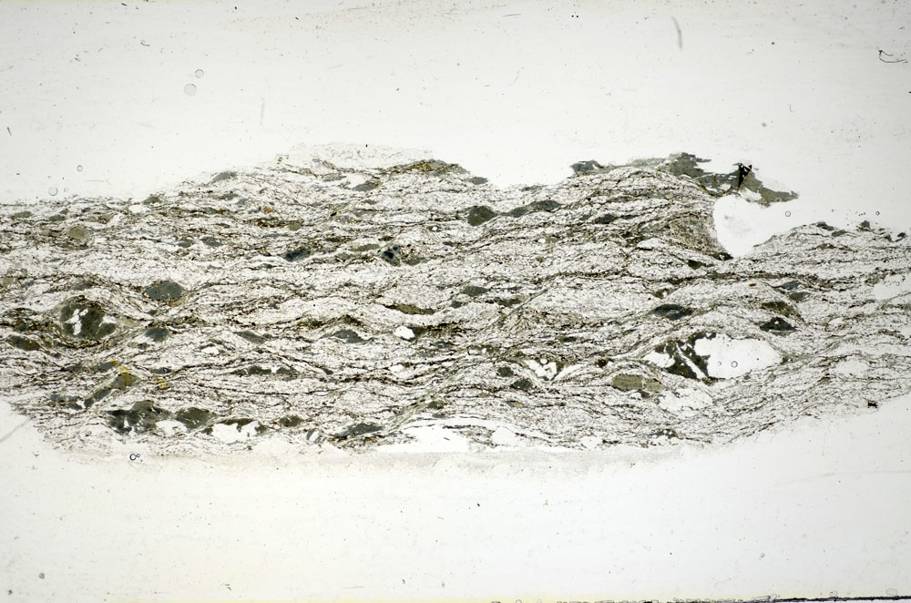 Plane Polarized, S84455