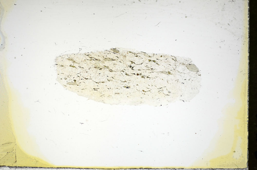 Plane Polarized, S84458