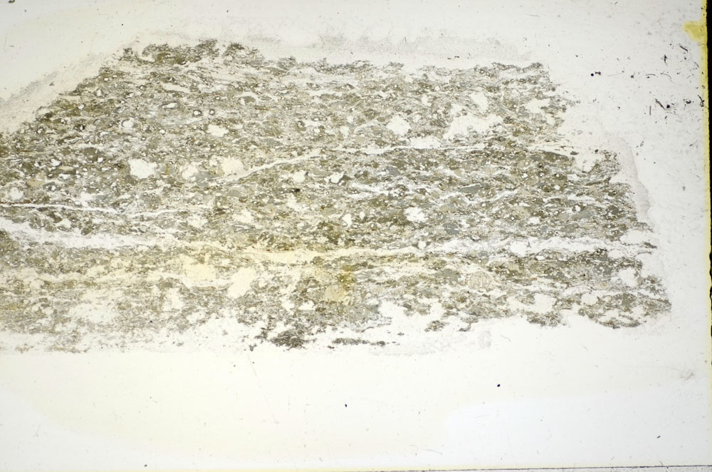 Plane Polarized, S84459