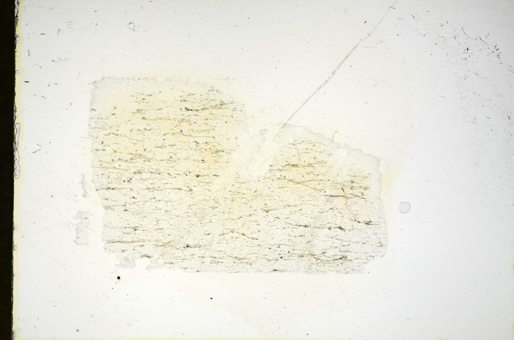 Plane Polarized, S84461